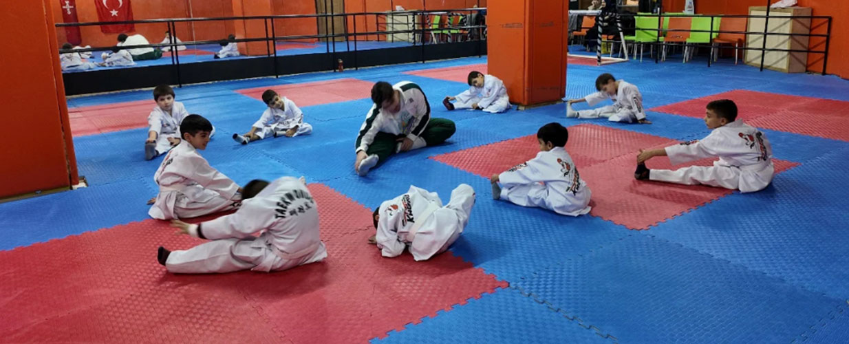 Başakşehir | Taekwondo Kayıtları Devam Ediyor