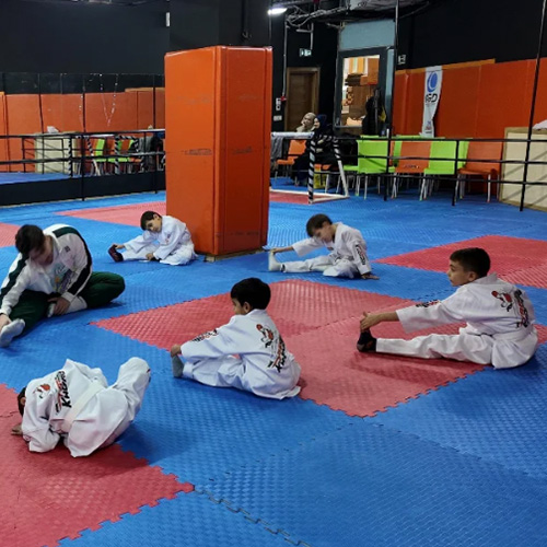 Başakşehir | Taekwondo Kayıtları Devam Ediyor
