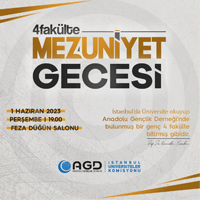 Üniversite Mezuniyet Programı